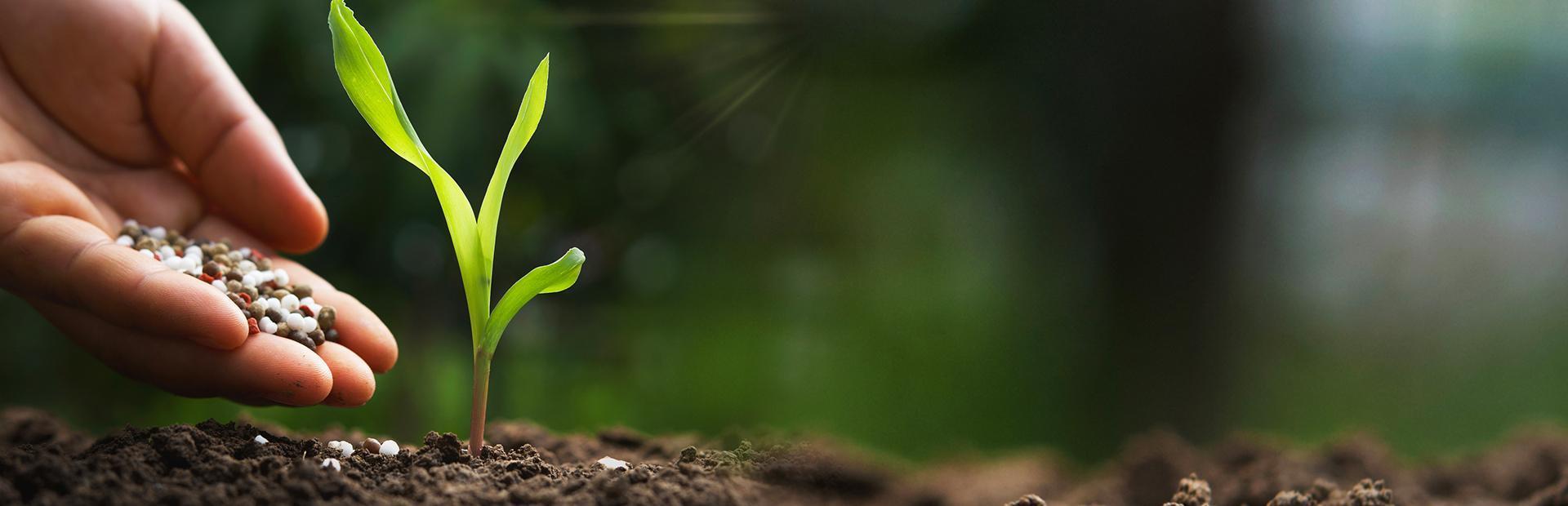 Slajd 1 Ogrodnictwo to nasza pasja