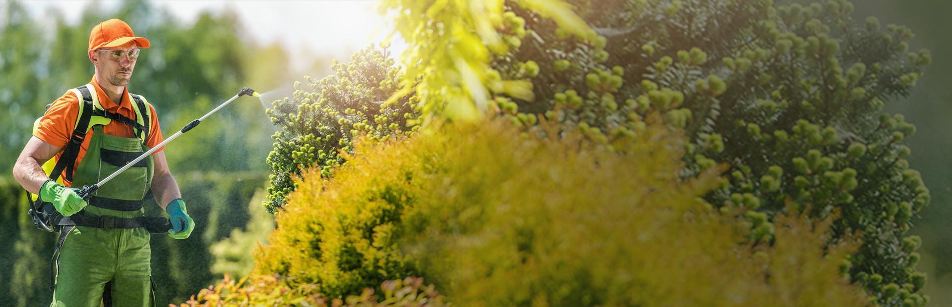 Slajd 3 Bogata oferta